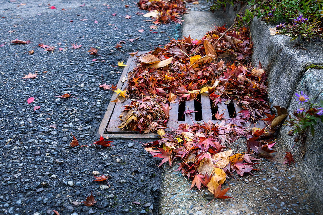 Autumn Leaves & Blocked Drains