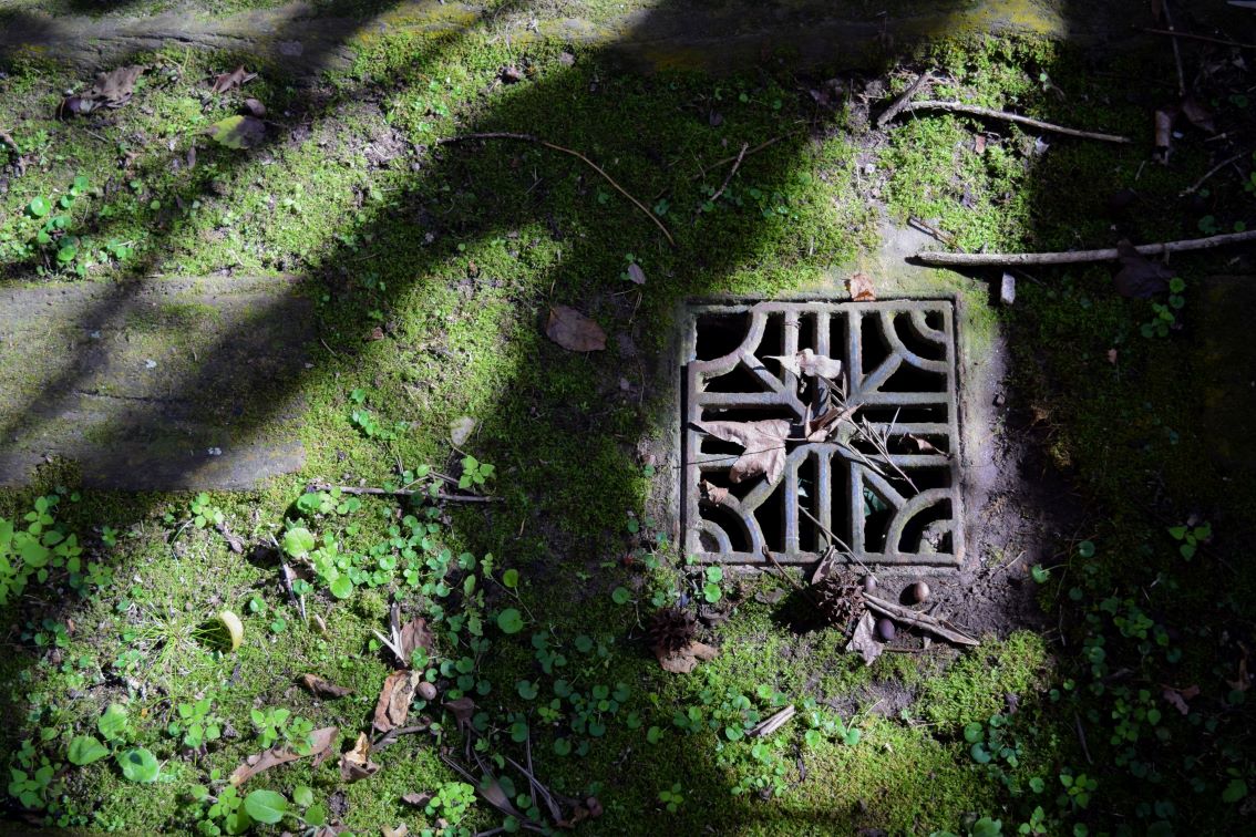 Drain Maintenance for Older Homes